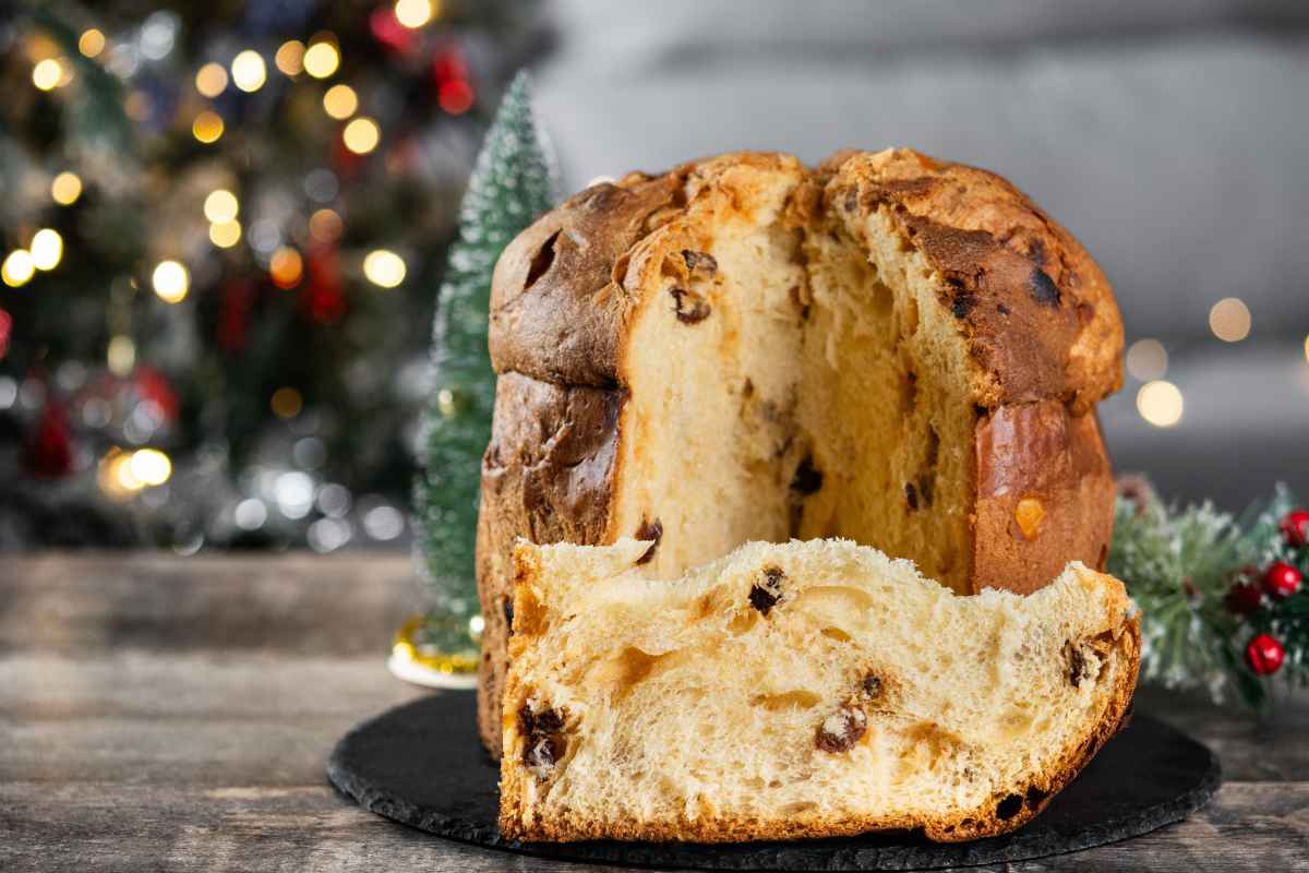 panettone